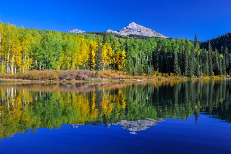 Reflections