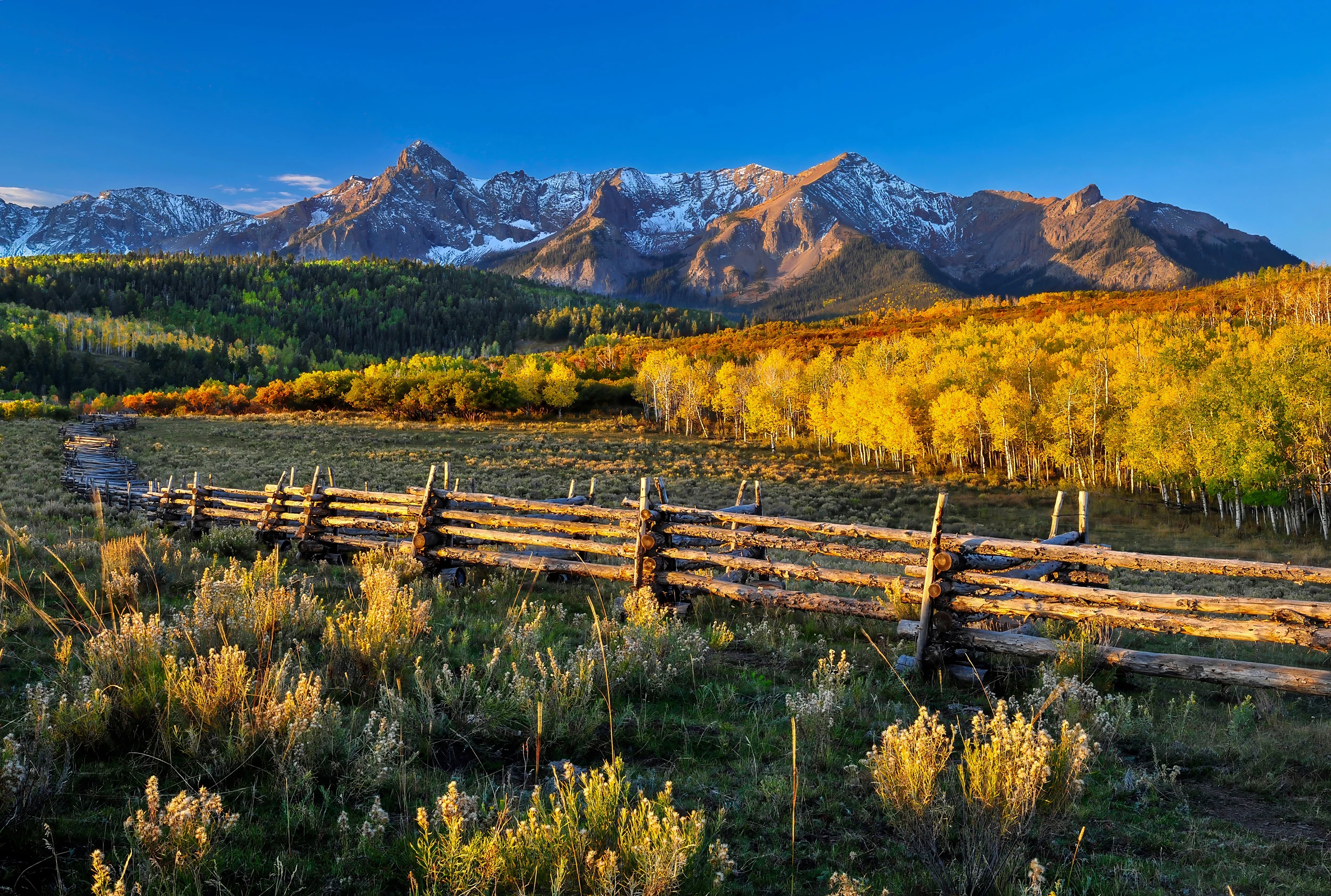 Dallas Divide fence early morning, Colorado – photo by Reiner Boehme