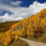 Autumn colors on CR7