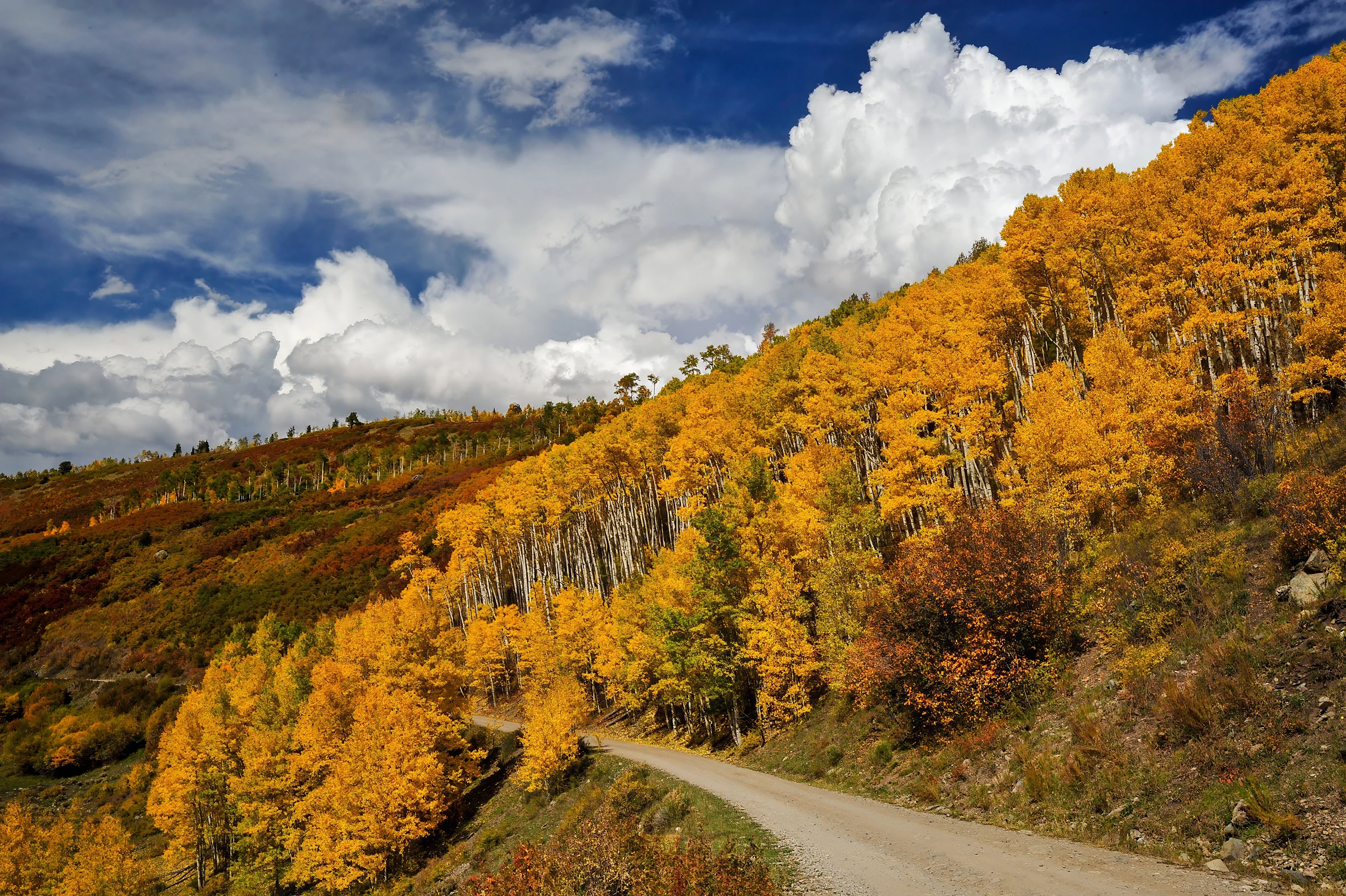Autumn colors on CR7, Colorado – photo by Reiner Boehme