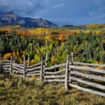 Fence