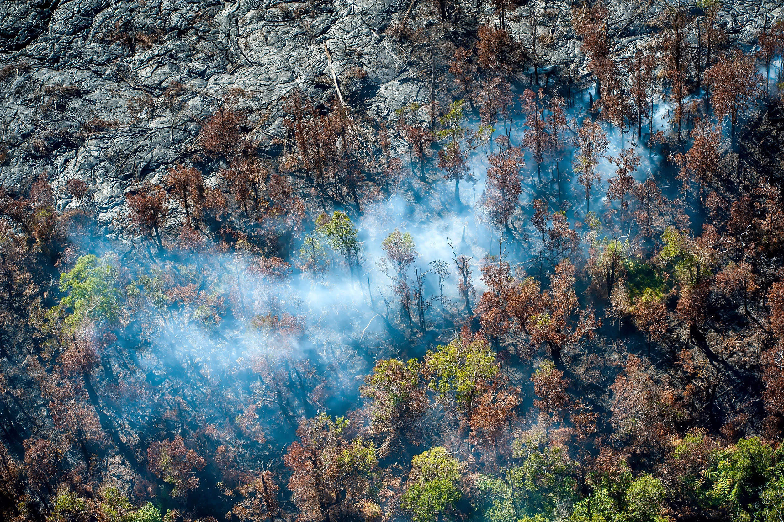 Burning forest, Hawaii – photo by Reiner Boehme