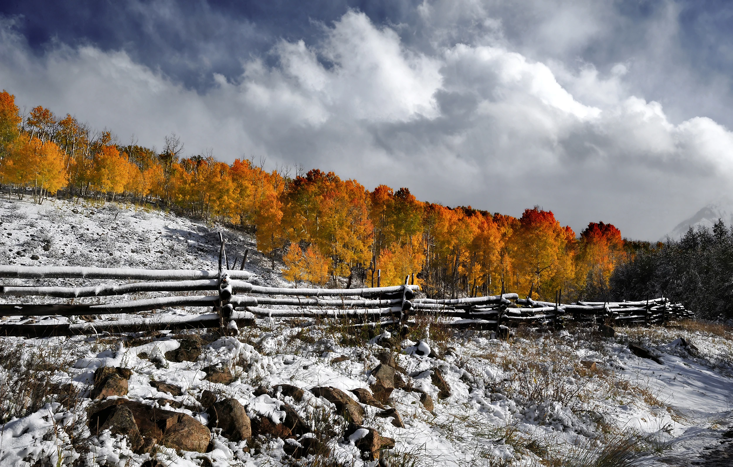 Entrance to Last Dollar Rd., Colorado – photo by Reiner Boehme
