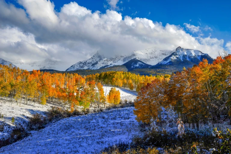 Snow in autumn