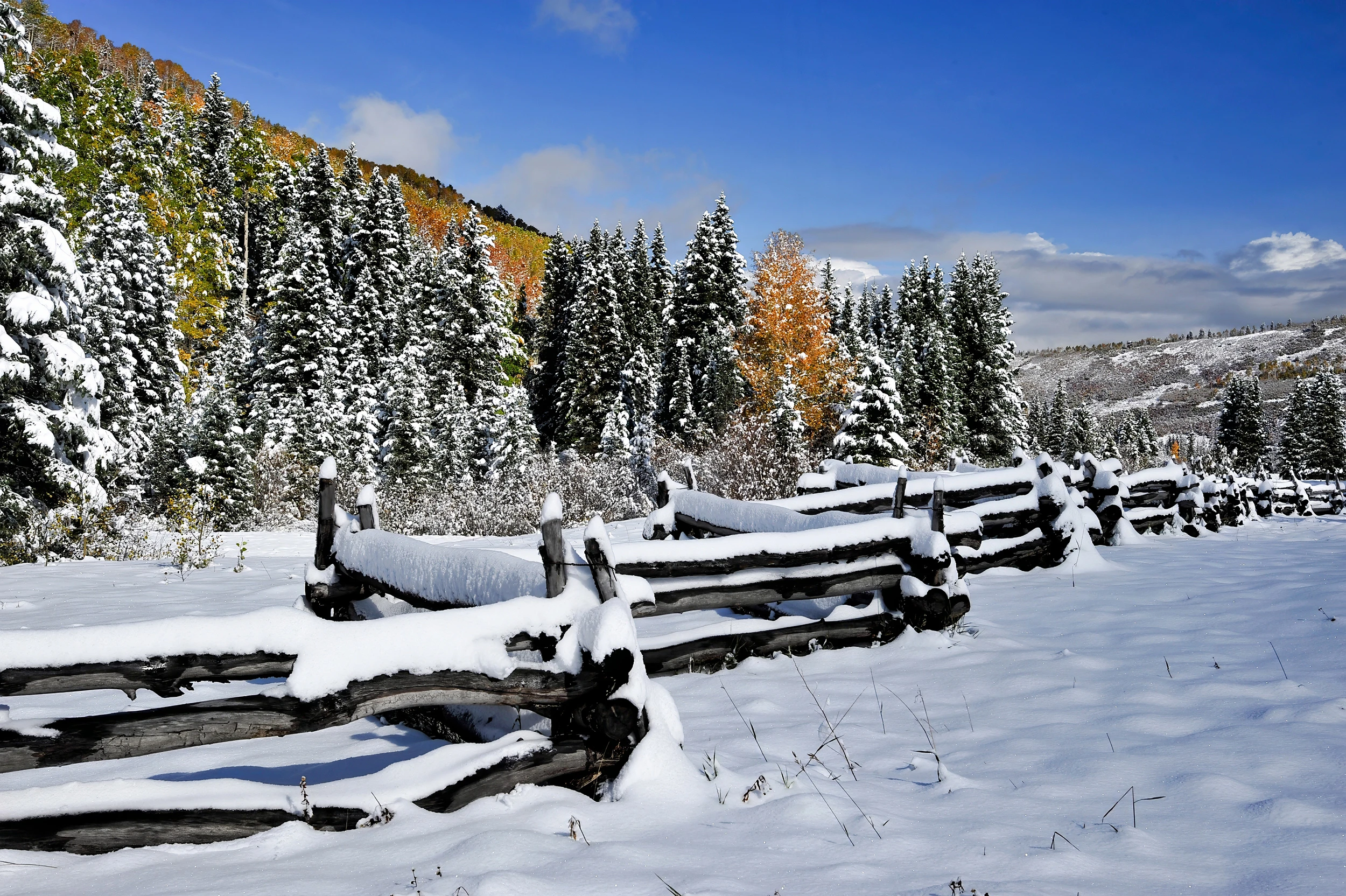 Fence at the end of CR7, Colorado – photo by Reiner Boehme