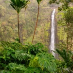 Akaka falls