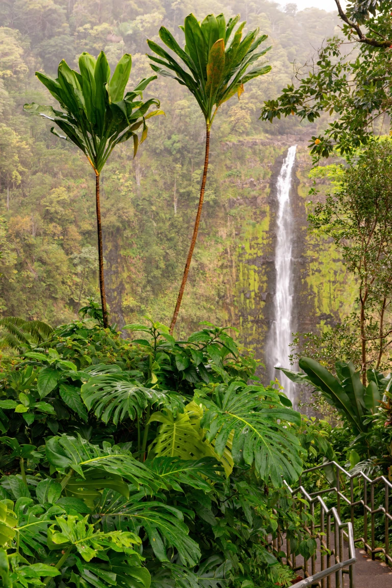 Akaka falls