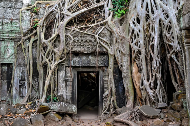 Ta Prohm