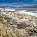 Salar de Surire IV