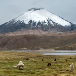 Parinacota volcano