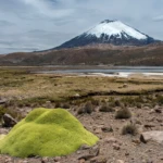 Parinacota volcano