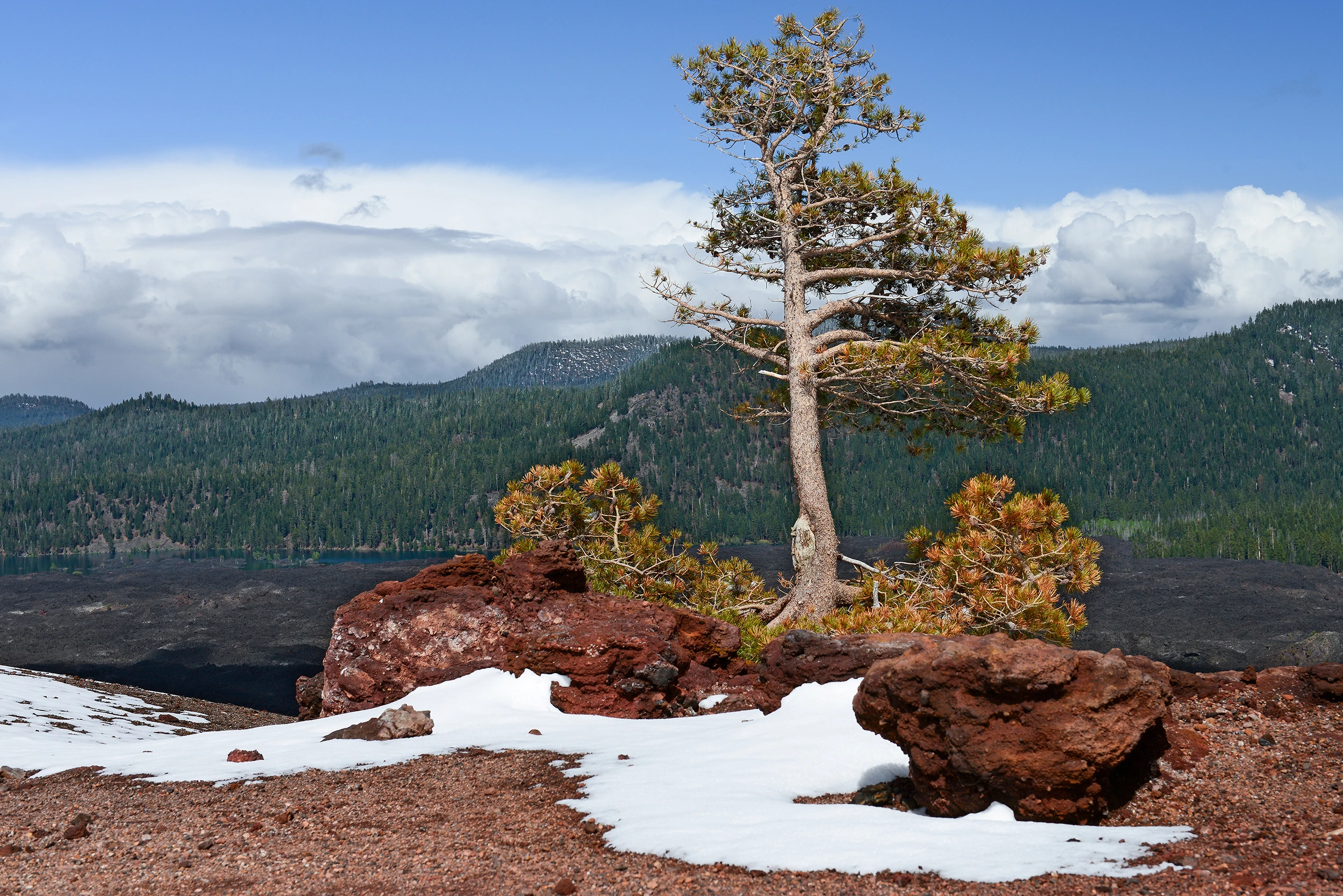 Lassen National Park, Lassen NP – photo by Reiner Boehme