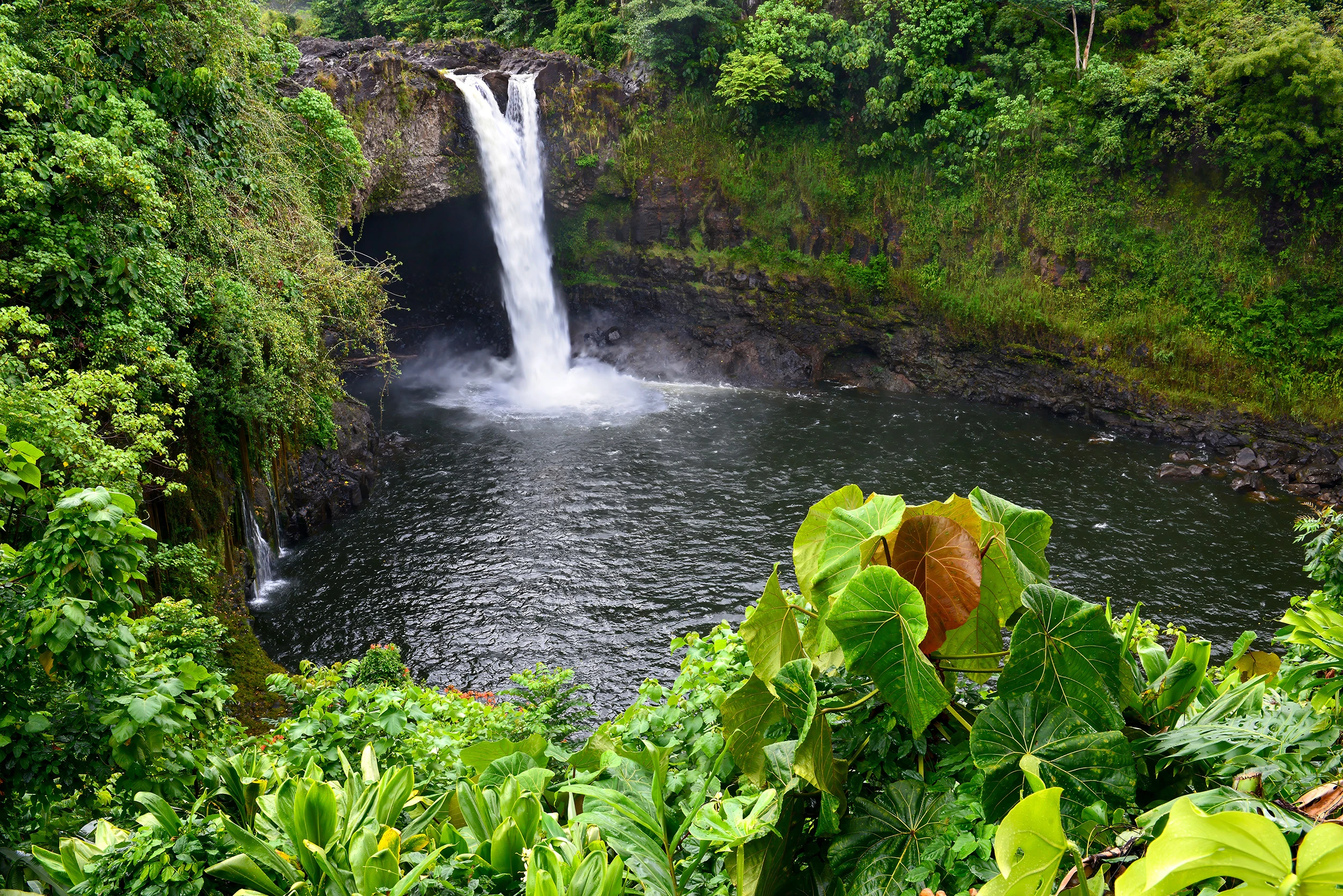 Rainbow falls in Hilo after rain, Hawaii – photo by Reiner Boehme