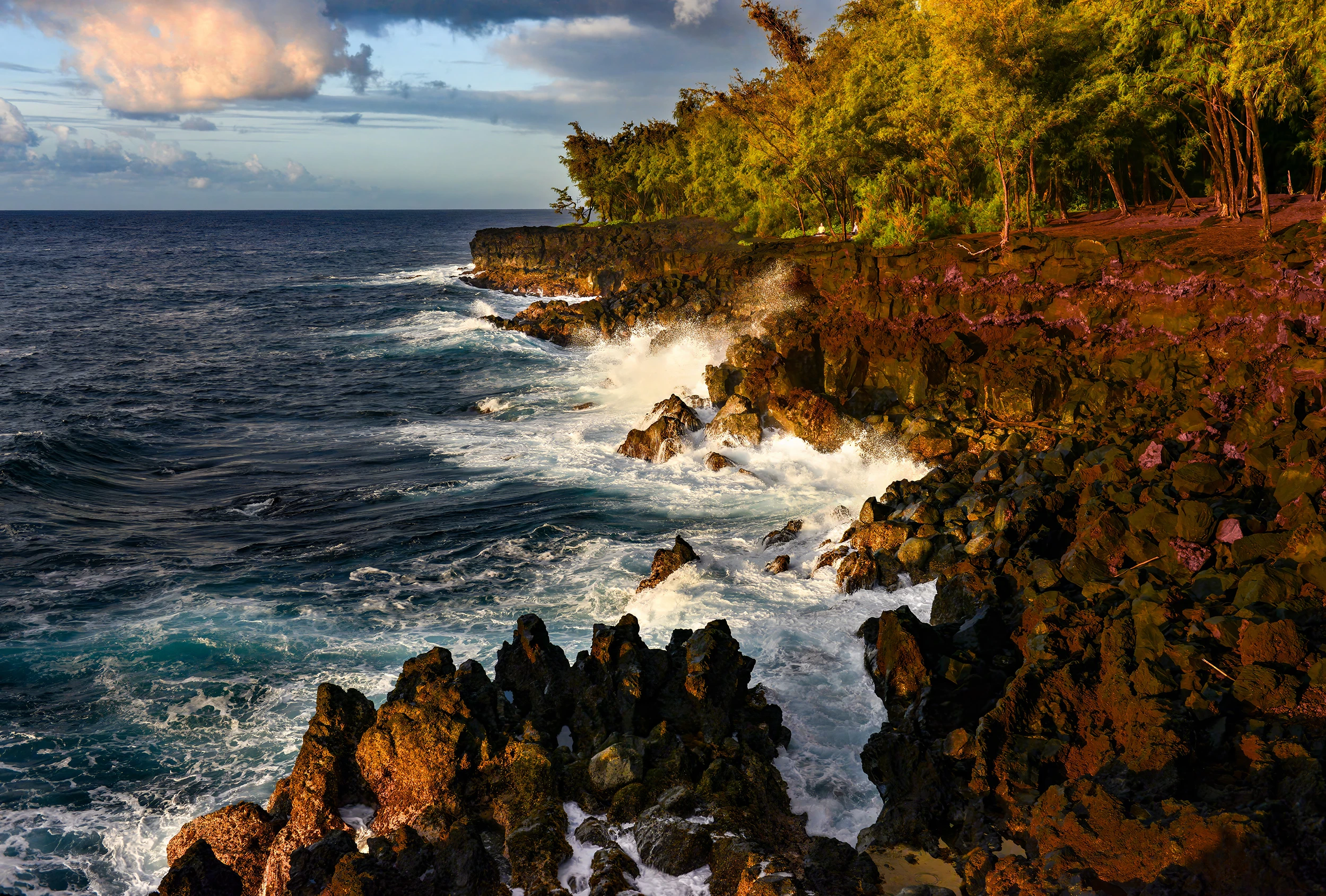 MacKenzie Park, Big Island, Hawaii – photo by Reiner Boehme