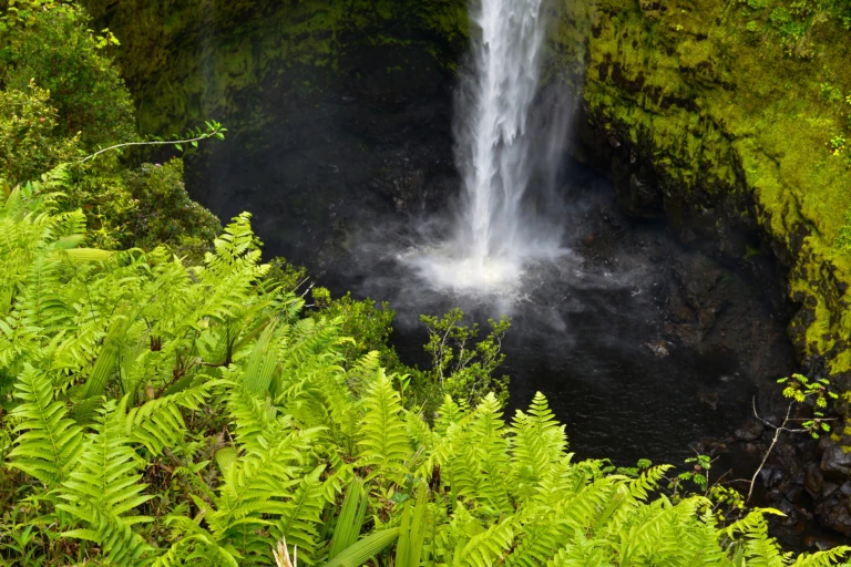 Akaka falls