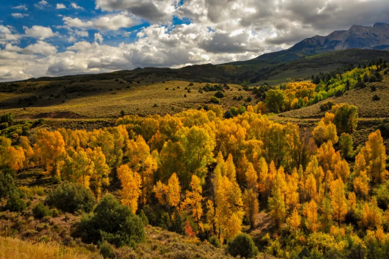 Somewhere in Colorado