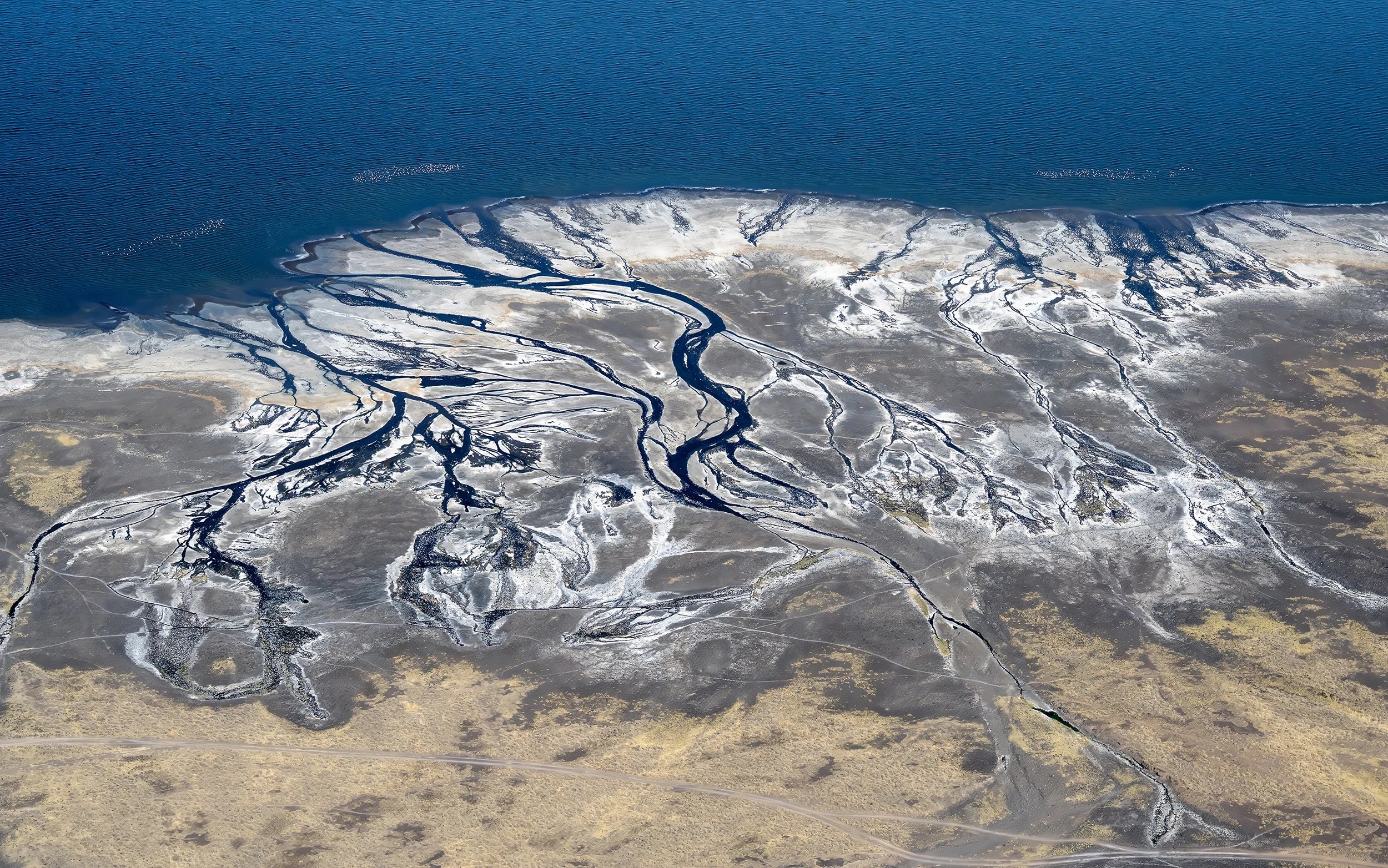 The complete Delta, Kenia-Tansania – photo by Reiner Boehme