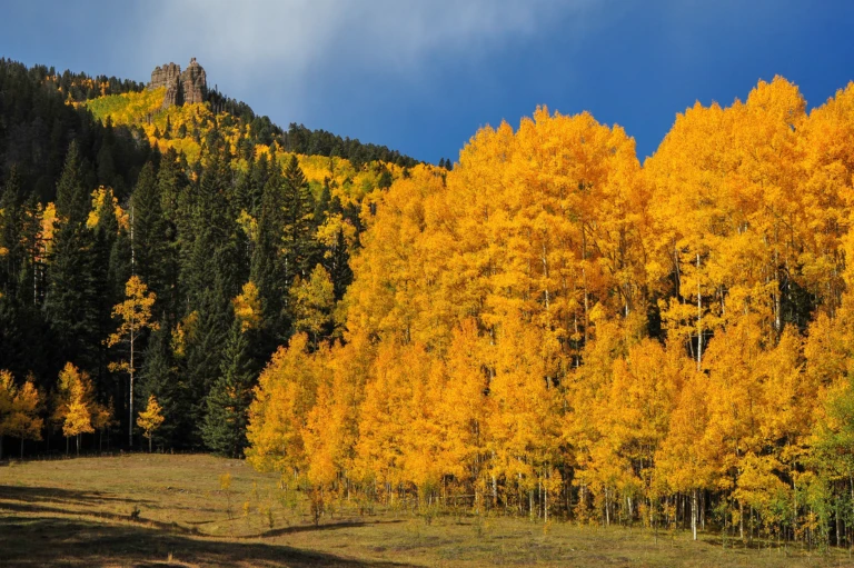 Owl creek pass