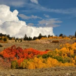 Colorado autumn colors