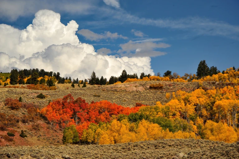 Colorado autumn colors