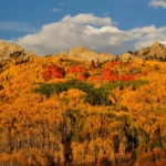 Kebler Pass