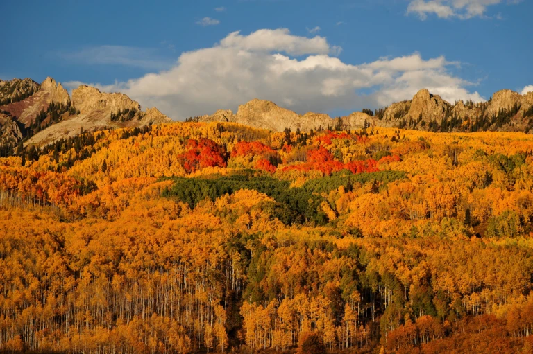 Kebler Pass