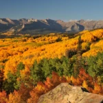 Colorado autumn colors