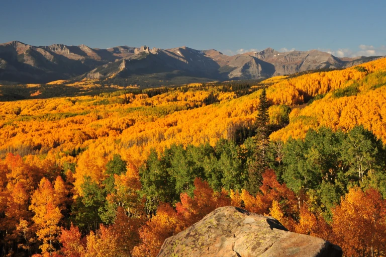 Colorado autumn colors