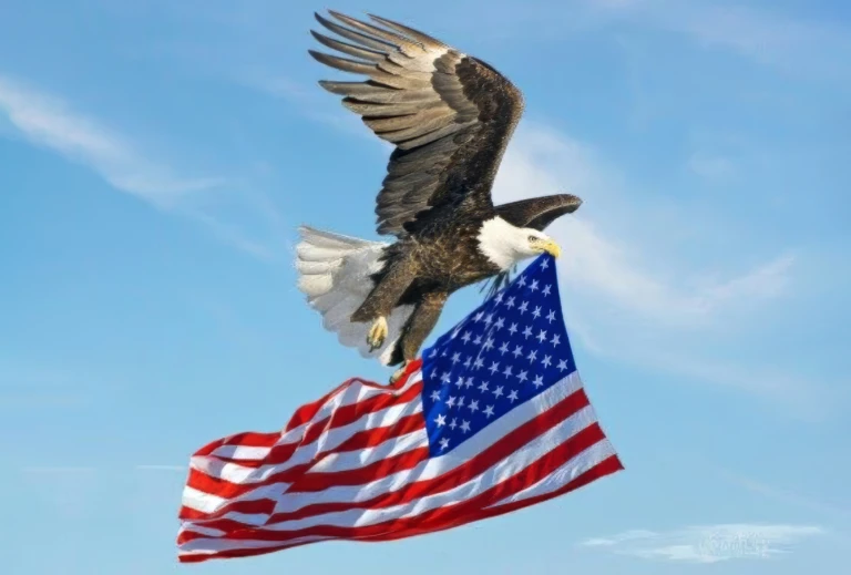 United States
