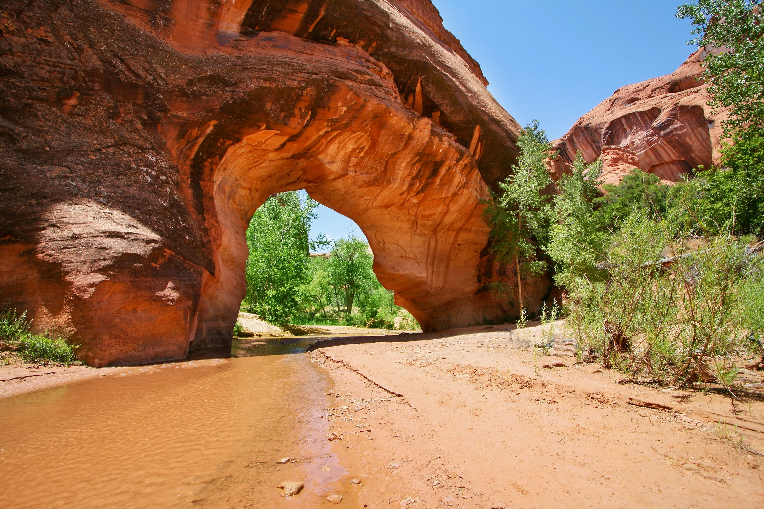 Coyote gulch, Various in Utah – photo by Reiner Boehme