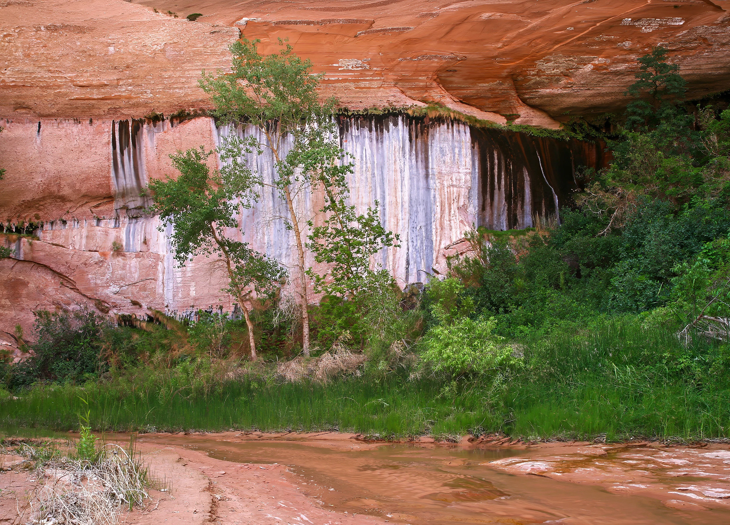 Coyote gulch, Various in Utah – photo by Reiner Boehme