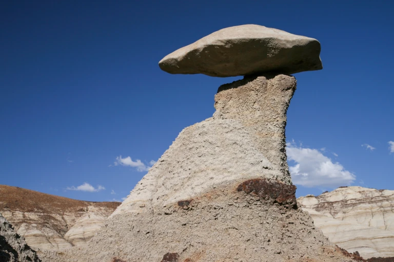 Bisti