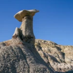 Bisti