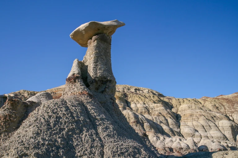Bisti