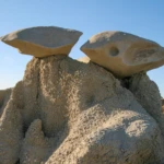 Bisti