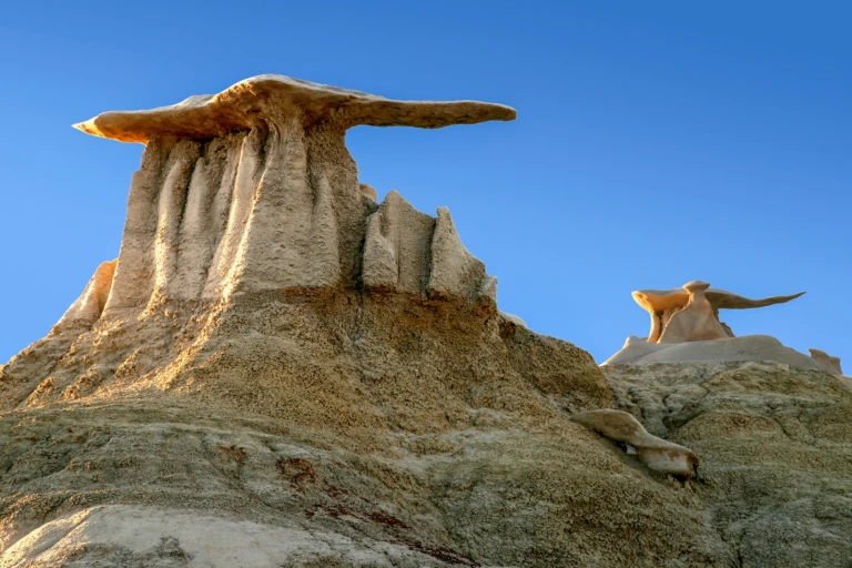 Bisti