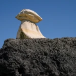 Bisti