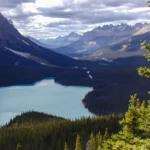 Lke Peyto