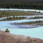 Along the Icefields Parkway