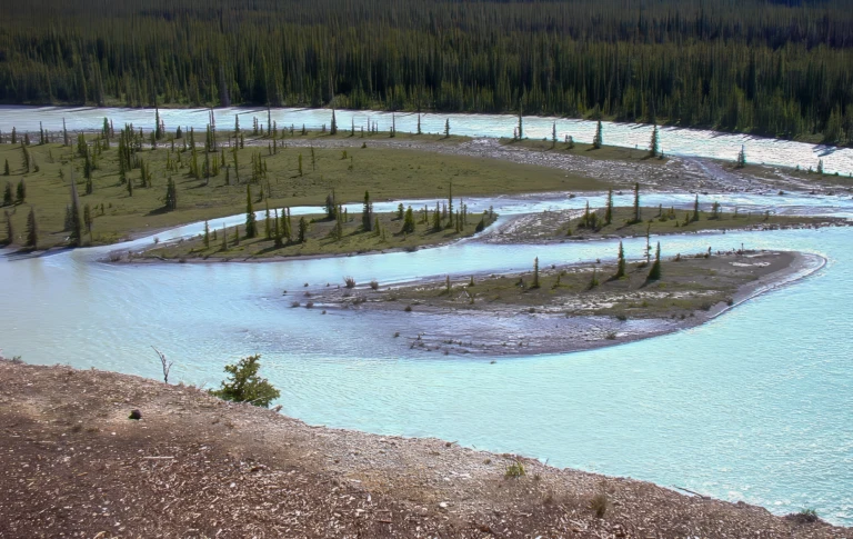 Along the Icefields Parkway