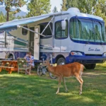 Awning