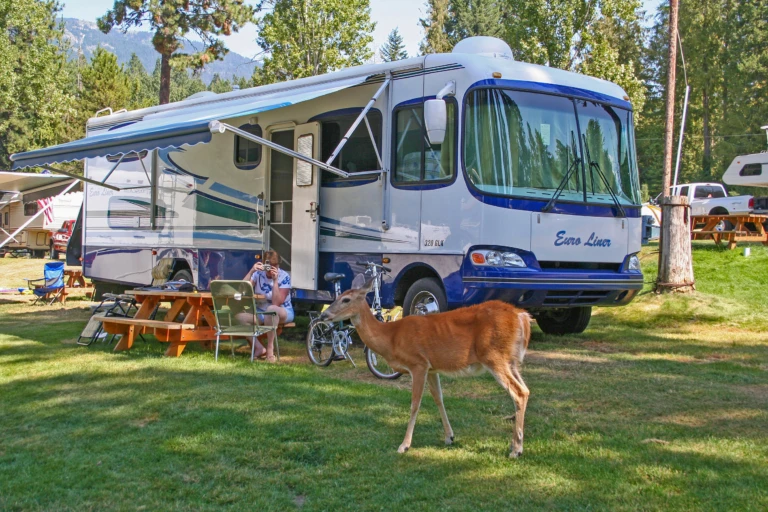 Awning