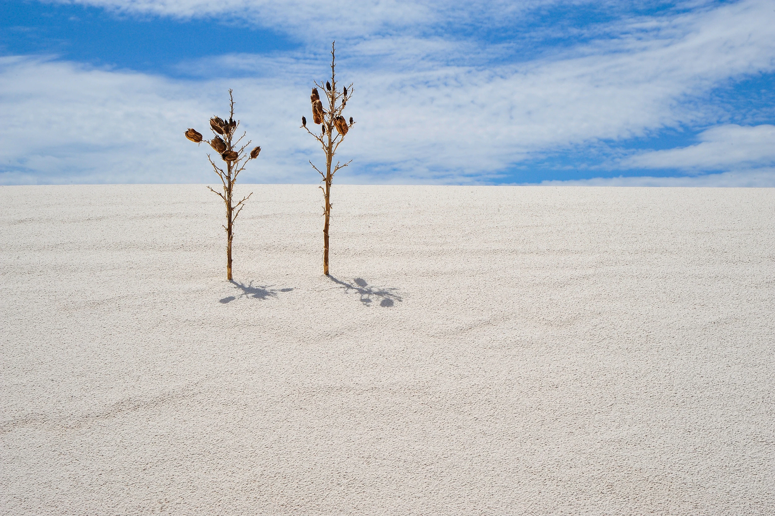 Two, White Sands – photo by Reiner Boehme
