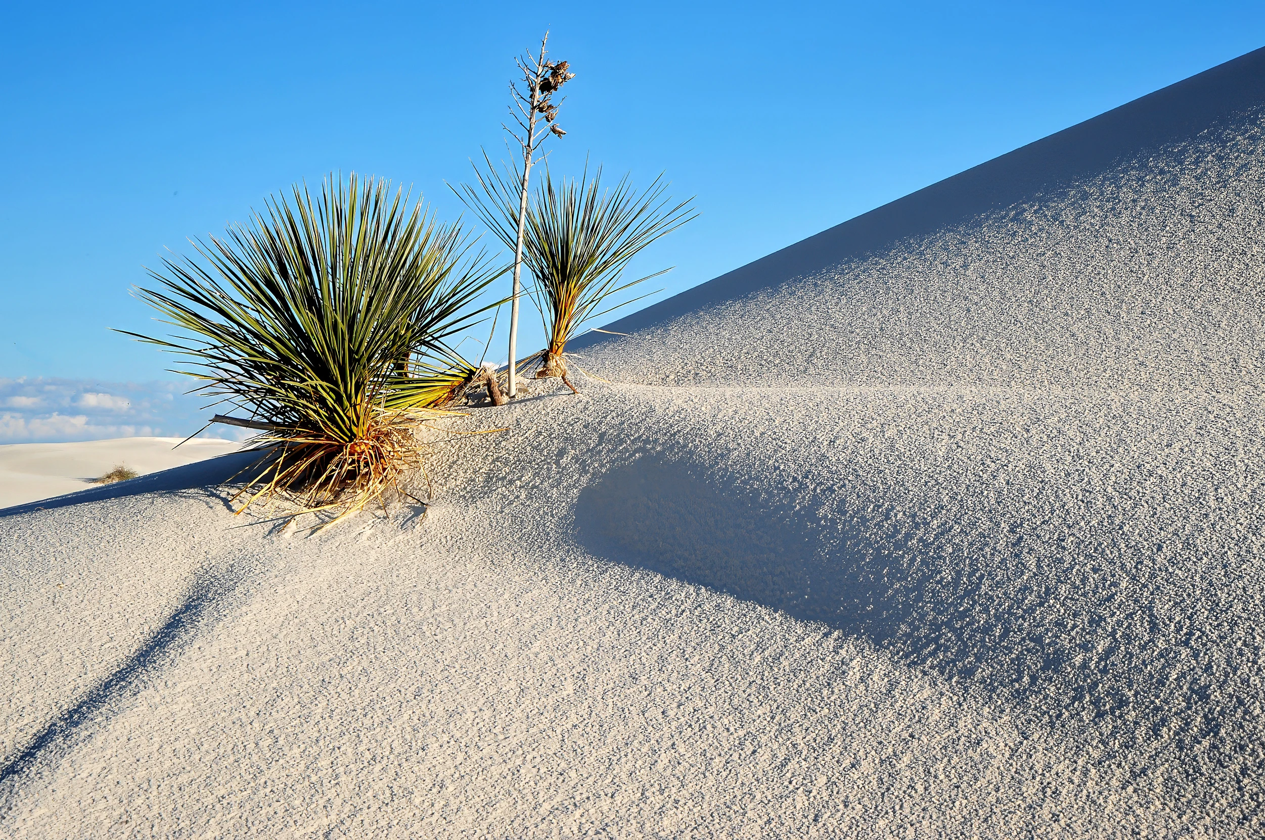 II, White Sands – photo by Reiner Boehme