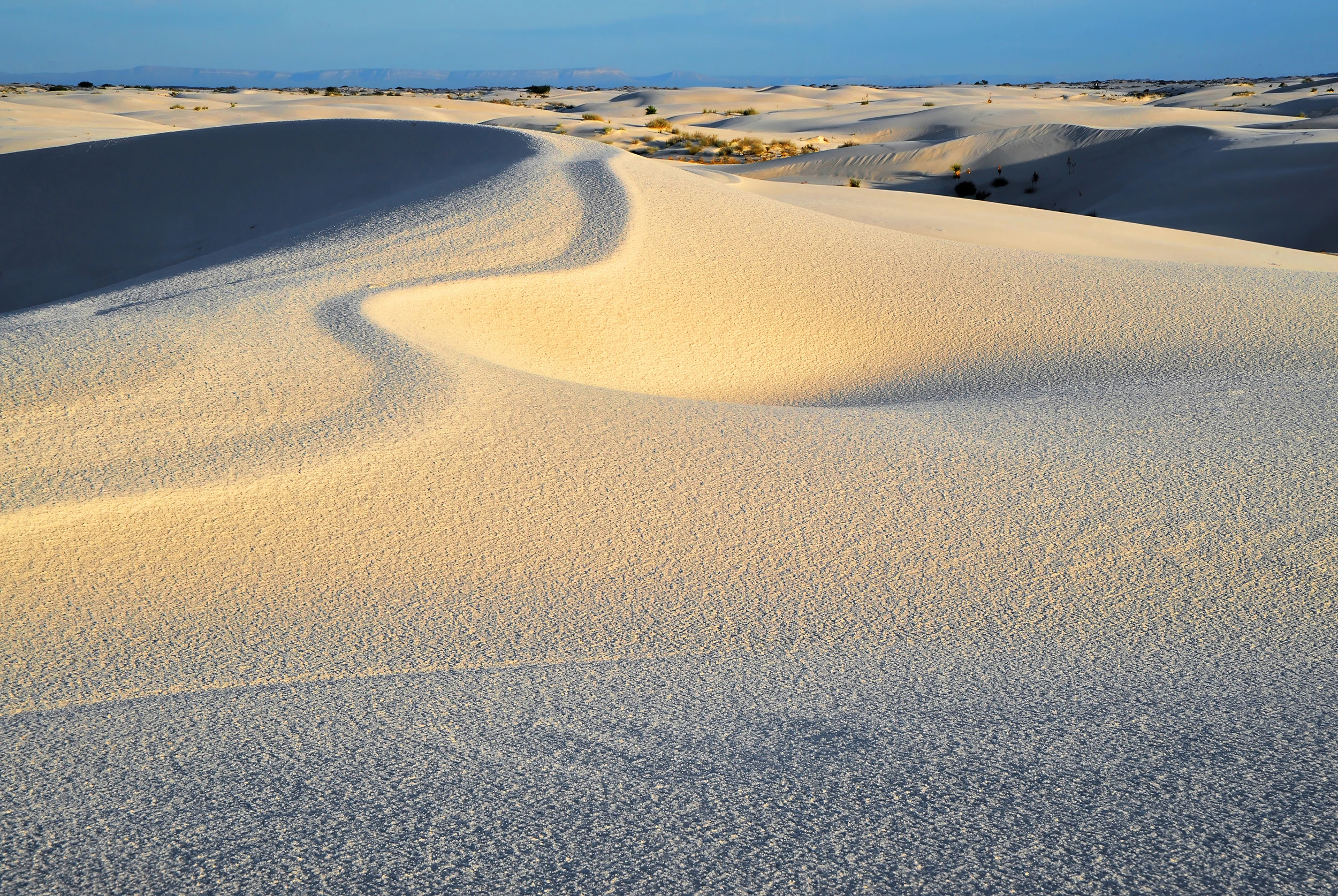 I, White Sands – photo by Reiner Boehme